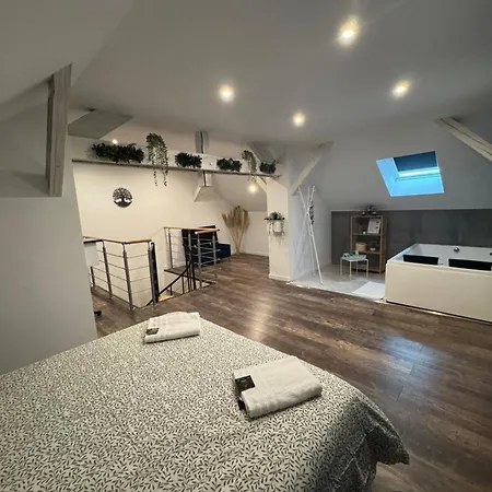 Comfort Jacuzzi New In Appartement *