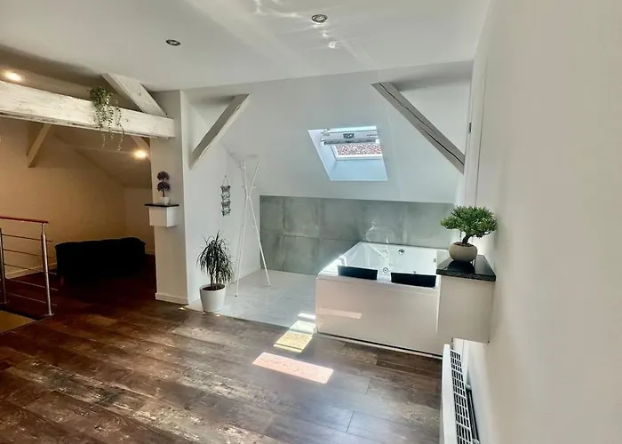 Comfort Jacuzzi New In Apartament Nilvange